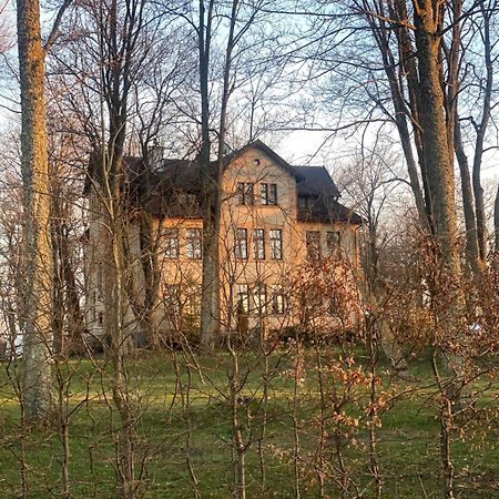 Palac Poraj Wicko (Pomerania) Exterior foto